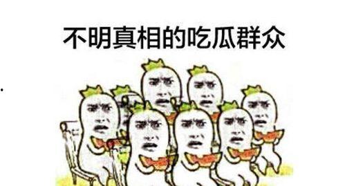 吃瓜群众小助理小说,揭秘娱乐圈背后的秘密