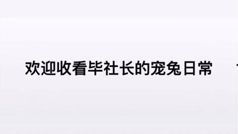 大佬在线吃瓜 小说,揭秘网络文学圈的幕后风云