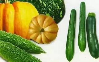 猿的吃瓜,揭秘猿类独特的饮食习惯