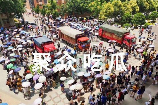 吃瓜天津大学,天津大学生“吃瓜”现象背后的校园文化观察