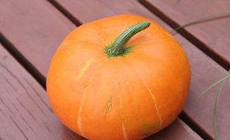 秋若水吃瓜,一场舌尖上的夏日盛宴