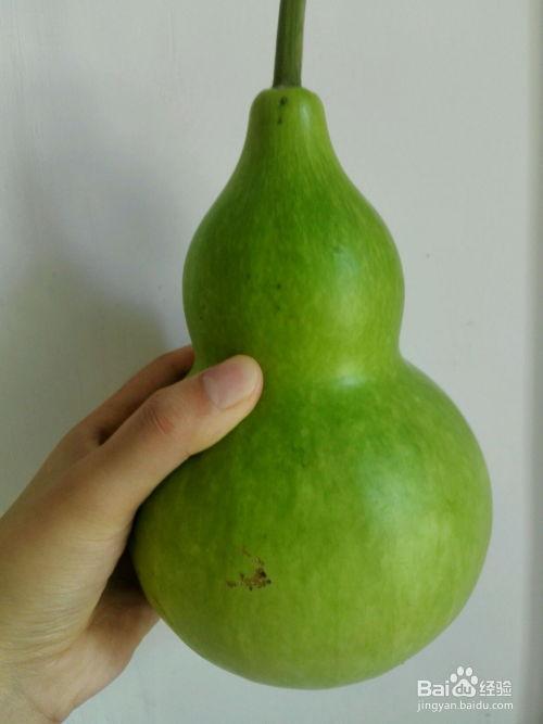 葫芦瓜怎样吃,探索健康美味的烹饪之道