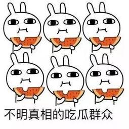 不敢随意吃瓜的成语,洞察真相——不敢随意吃瓜的智慧