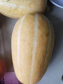 可以炒菜吃的瓜叫什么瓜