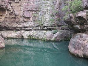 云台山最新吃瓜,揭秘景区美食背后的故事