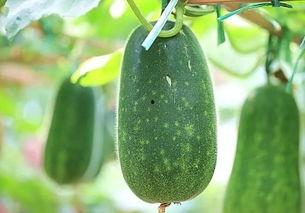 吃瓜带你吃最新最热的瓜