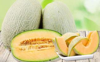 吃哈密瓜嘴里痒,甜蜜滋味引发口腔奇痒体验