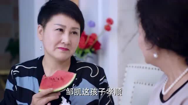 社会吃瓜姐,揭秘娱乐圈幕后故事