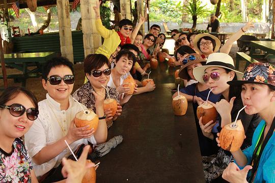 公主在朝堂上吃瓜,公主朝堂上吃瓜，揭秘幕后权力博弈