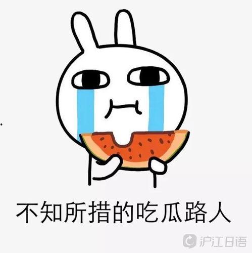 被迫吃瓜的日常,揭秘日常生活中的尴尬瞬间