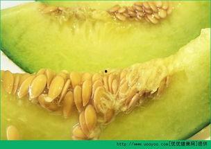 哈密瓜前期孕妇可以吃吗,美味与营养的双重享受