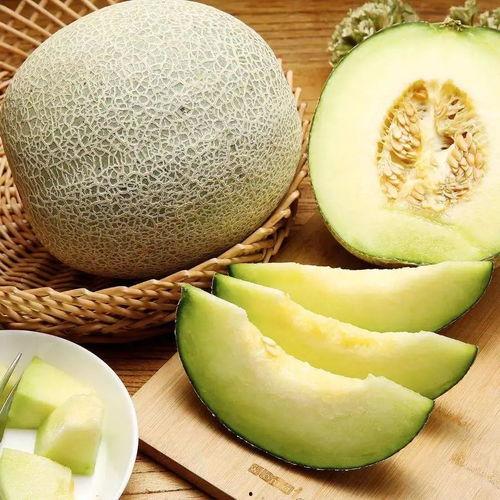 土豪吃蜜瓜图片,土豪的甜蜜生活瞬间