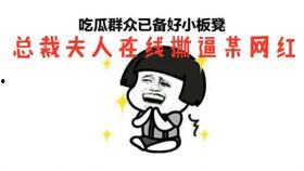 吃瓜总裁和老婆,一段甜蜜的豪门爱情故事