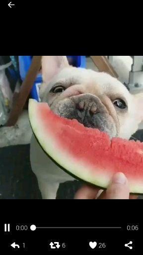 搞笑聊天吃瓜,搞笑聊天吃瓜大集合